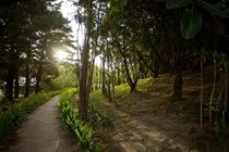 Buena Vista Lodge & Adventure Guanacaste Dış mekan fotoğraf
